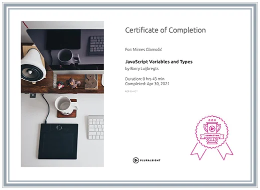 Certificate JavaScript Variables and Types