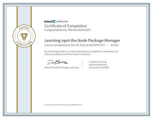 Certificate Learning npm the Node Package Manager