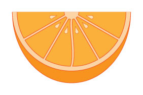 Illustration of orange wedge by professional web designer and programmer Mirnes Glamočić